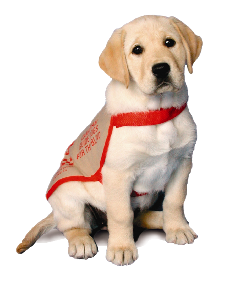 Canadian Guide Dogs for the Blind