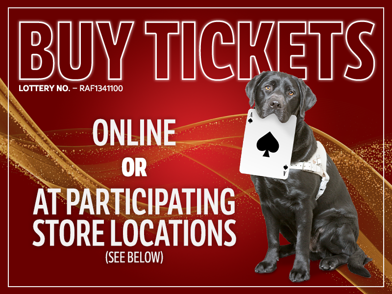 Buy tickets, dog with ace card in mouth